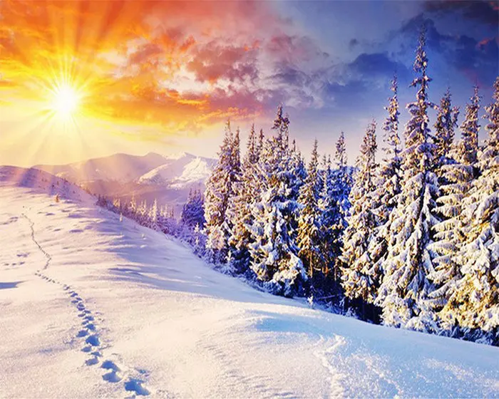 NAIYUE-Snow-Scenery-Home-Decor-Diamond-Painting-Cross-Stitch-Diy-Diamond-Embroidery-Diamond-Mosaic-Wall-Art.jpg_640x640