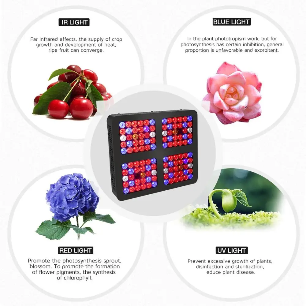 600w grow light (3)