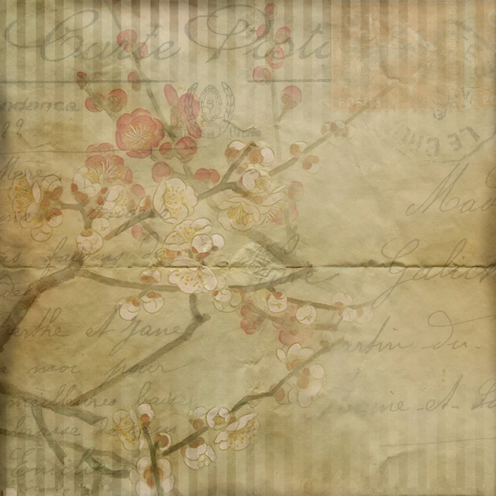 

SHANNY 10x10ft Vinyl Custom Photography Backdrops Prop Vintage Photography Background NTWV-5013