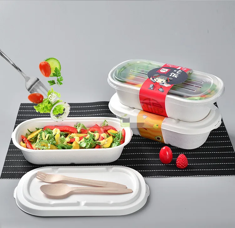 500x Disposable Box Compostable Bagasse Biodegrade Food Grade Eco-friendly Take-out Carry-out Take-away Lunch Box Bowl Lids