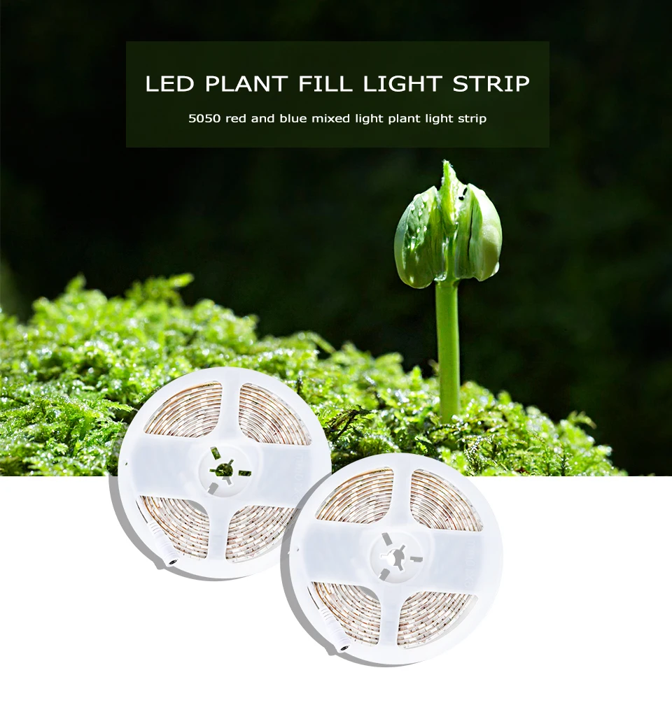 LED Grow Light Strip Tape Set DC12V Phytolamp Touch Switch Fitolamp (1)