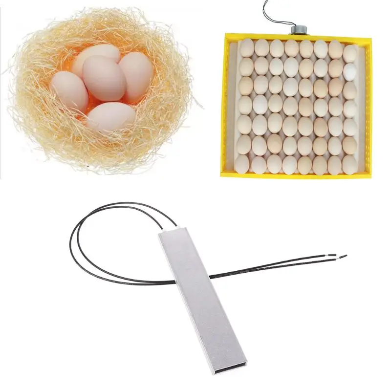 Heating Incubator Heater Element Plate For Egg Incubator Accessories 12V Heating Incubator Heater Element Plate For Egg Incubator Accessories 12V