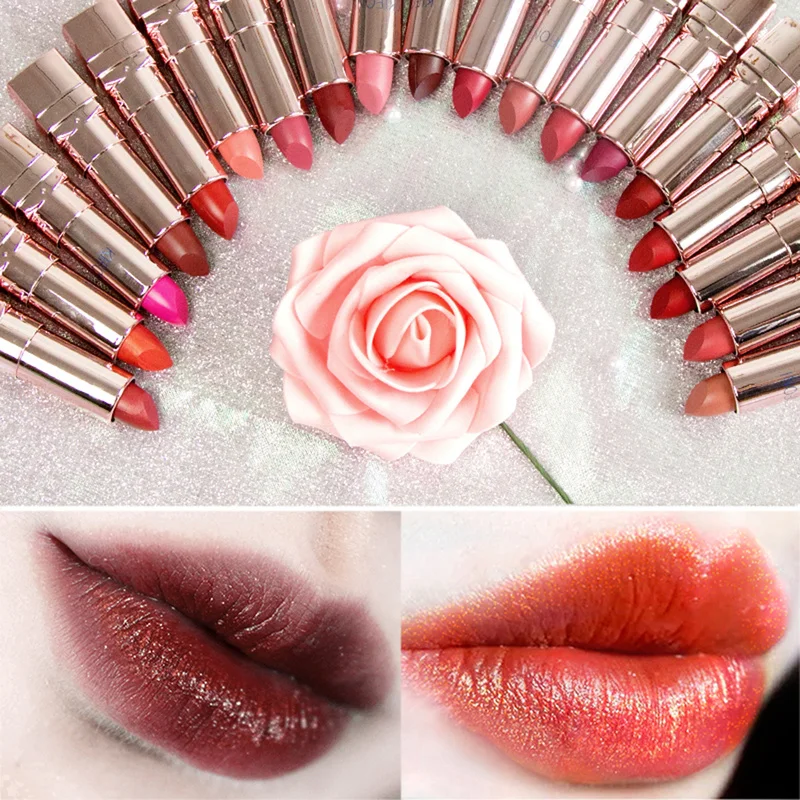 

20 Colors Matte Lipstick Long Lasting Makeup Metallic Lip Gloss Cosmetics Sexy Women Lip Stick Waterproof Red maquiagem TSLM2