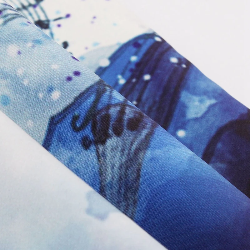 BN0012501-detail (6)