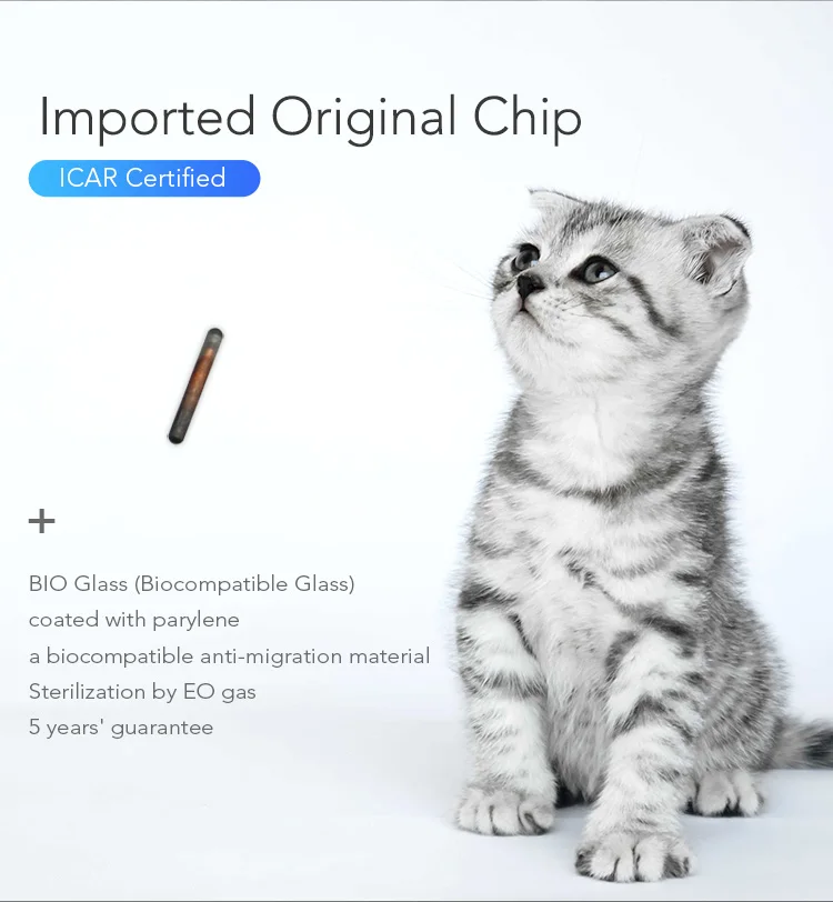 Imported chip