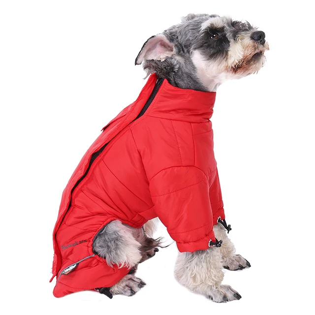 dog winter clothes dog winter clothes