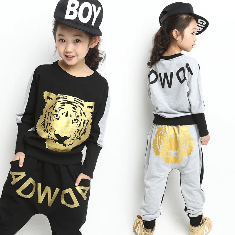 Girls Clothing Set 2017 New Fall Fashion Brand Children Sport Suit Pullover Sweatshirts Harem Pants Kids Girl Hip Hop In Sets From Girls Clothing Set 2017 New Fall Fashion Brand Children Sport Suit Pullover Sweatshirts Harem Pants Kids Girl Hip Hop In Sets From