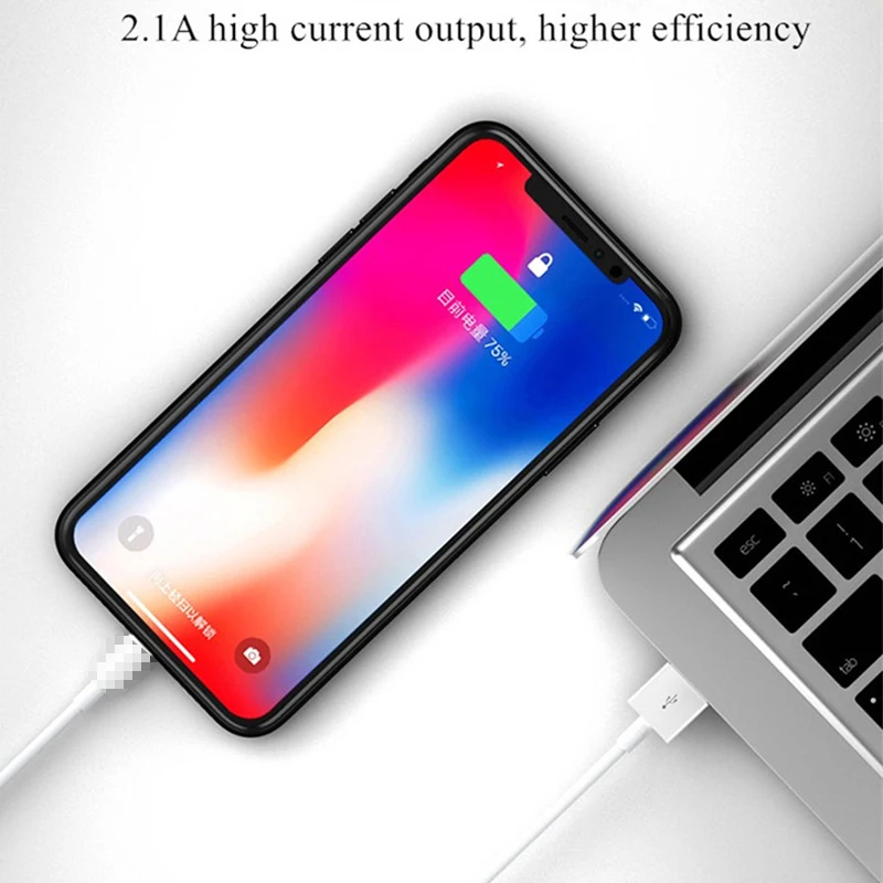EVLARUBY usb кабель для iphone 5S se 5 8 7 6 6s плюс Xs max Xr X ipad мини зарядки Кабели мобильный