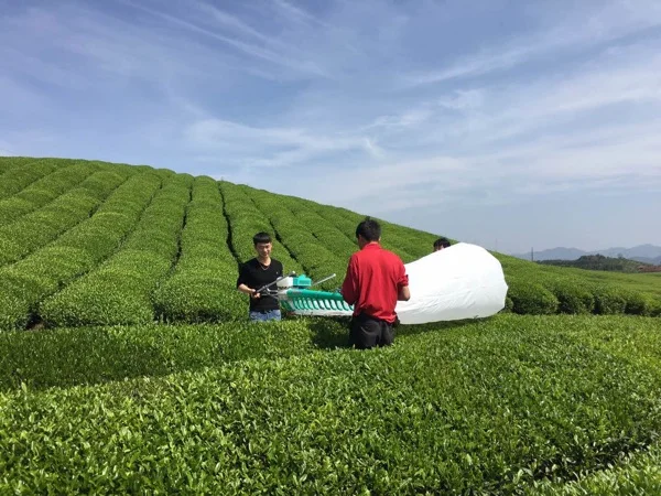 

120cm Double operation parallel Gasoline power Tea picking machine harvester picker cutter,tea leaf plucking machine plucker