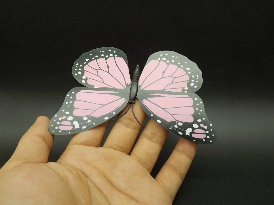 I242-Butterfly (3)