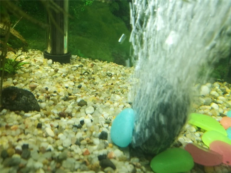 tag aerator stones fish