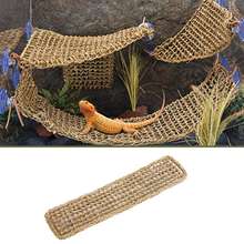 Lizard Decorative Hammock