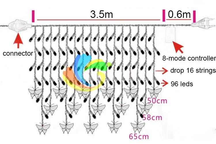 3002317174_1706640102