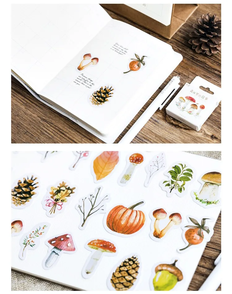 8580194851_505222120