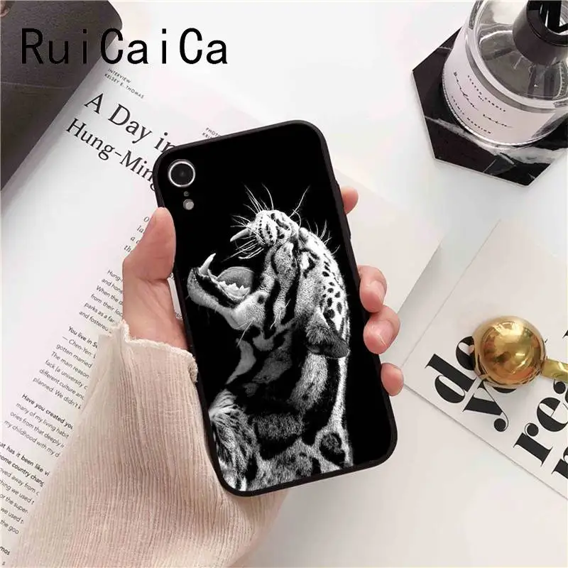 Animal monkey lion tiger leopard shark dog
