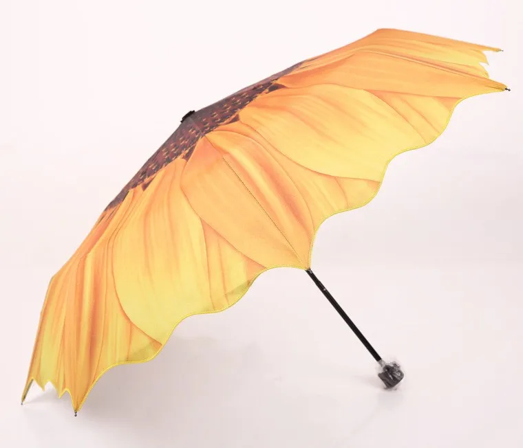 1409088661_1091272507