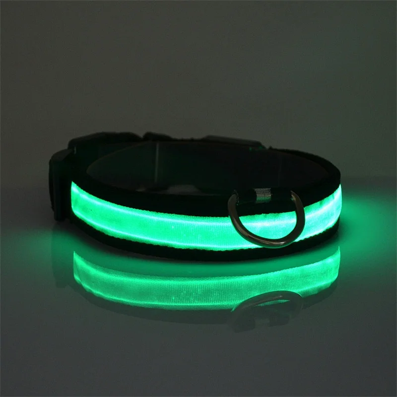 Led Collar (2)