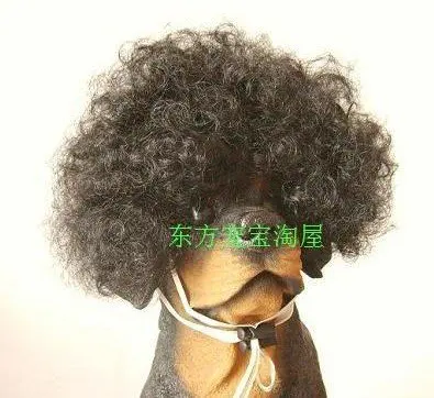 

Tangpan Short Curl Afro Style Pet Cat Dog Wig - Black