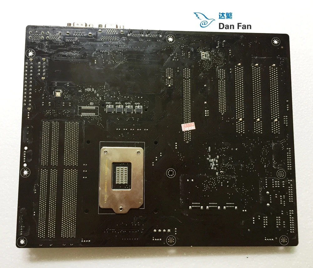 IMG_7823[1]_