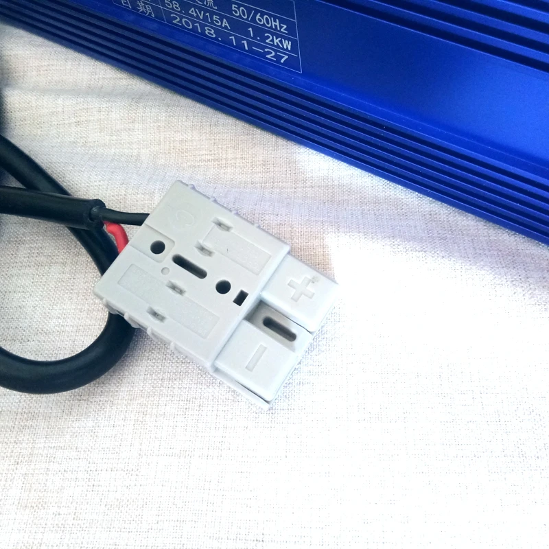 48v charger (4)