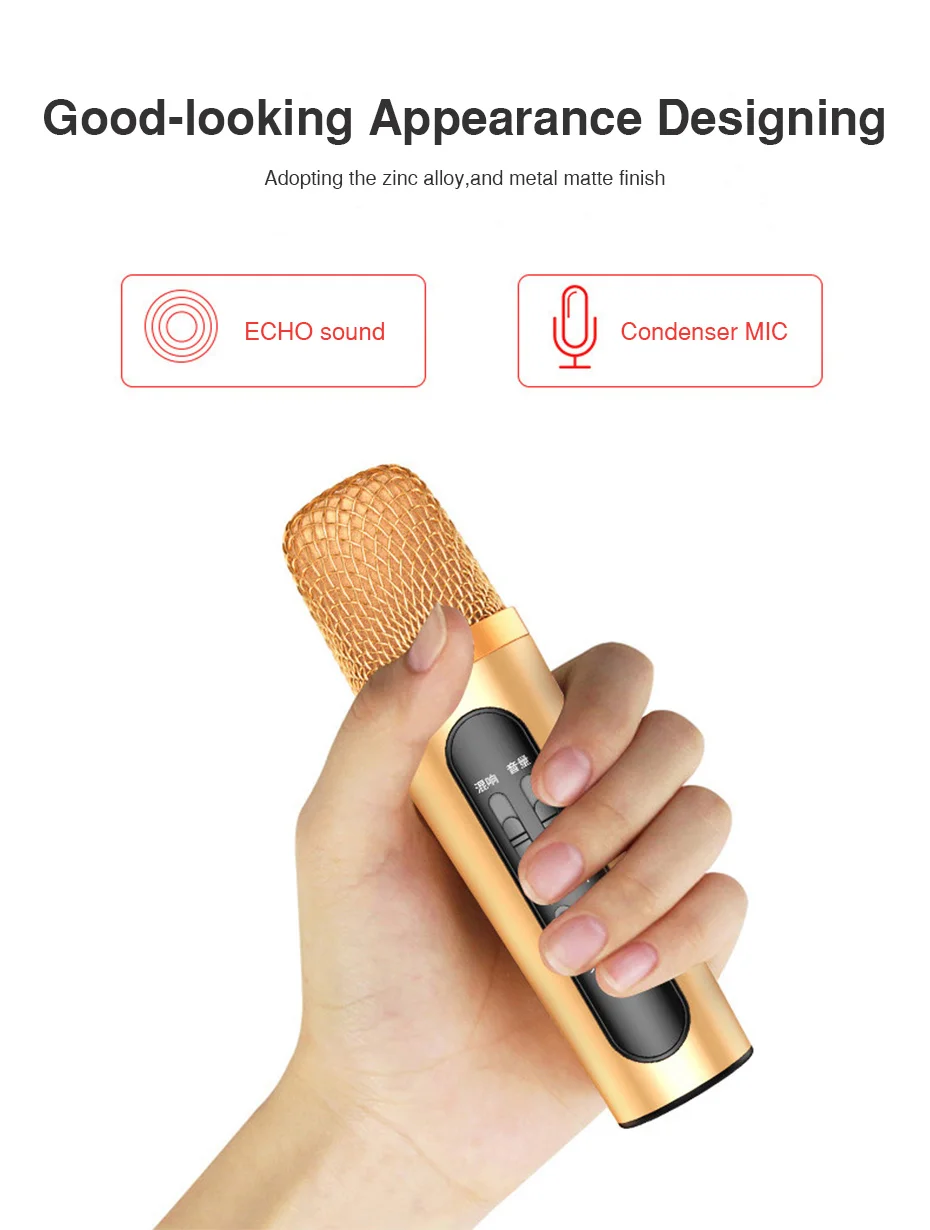 ECHO Karaoke Microphones Handheld UHF wireless microphone mic systems for phone teaching stage voice amplifier speaker (9)