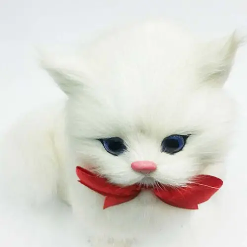 article plush cat kat soft animal 4