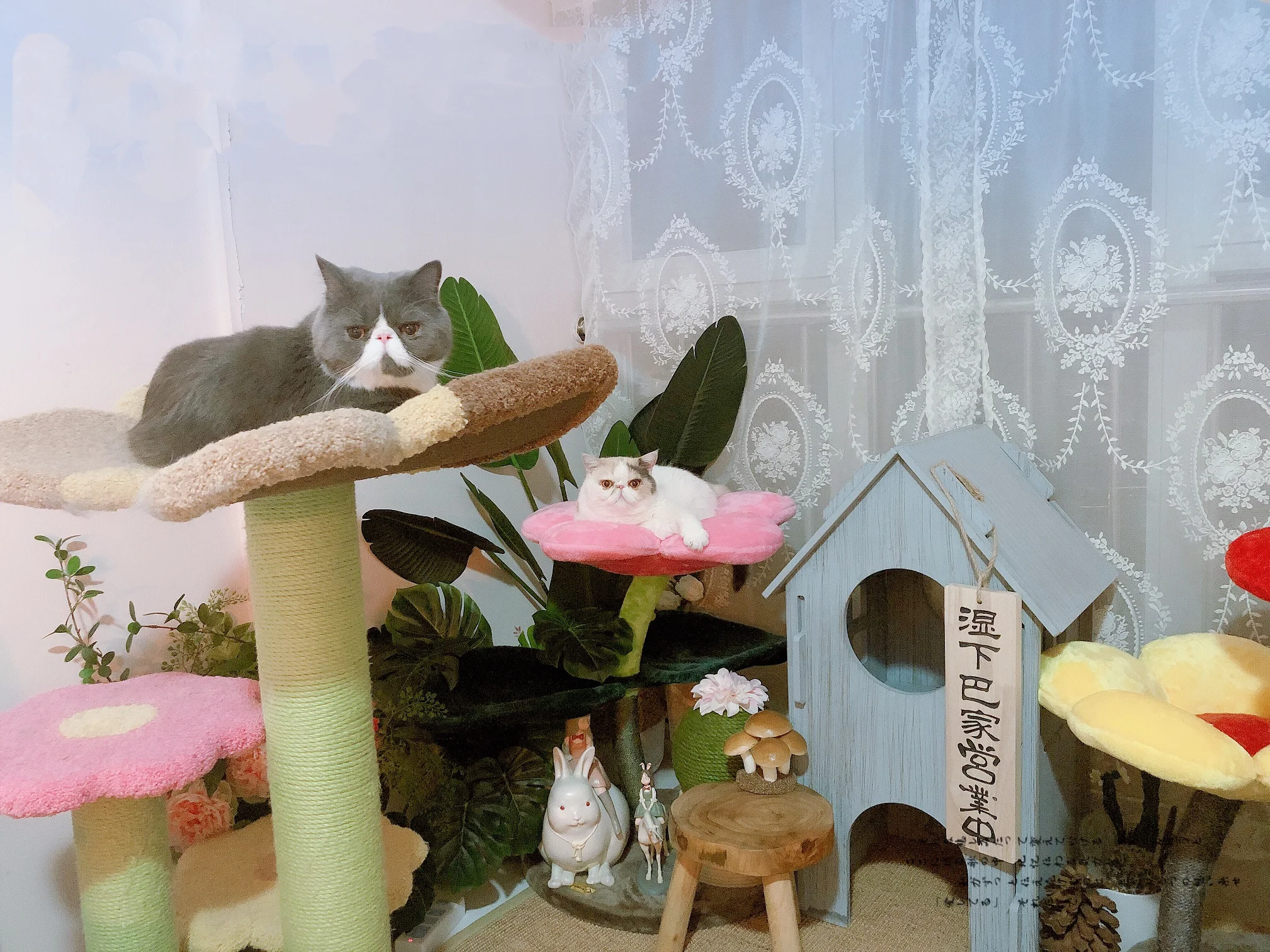 The Is Colorful Flowers Cat Tower Color Flower Tree Scratching Post So