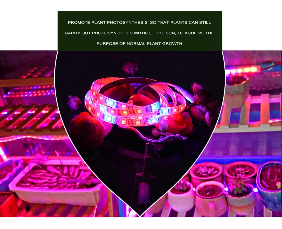LED Grow Light Strip Tape Set DC12V Phytolamp Touch Switch Fitolamp (11)