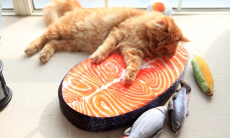 MPK] Seafood Kucing Bantal Lucu kucing, Kucing Bolster Kucing 