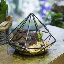 Modern Classic Octahedral Glass Geometric Terrarium Succulent Fern Moss Plant Terrarium Box Balcony Decor DIY Planter