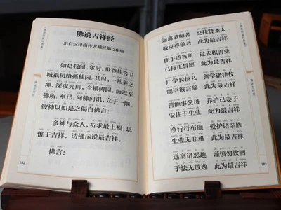 T2OuvLXbtcXXXXXXXX_!!862029948.jpg_400x400.jpg_.webp