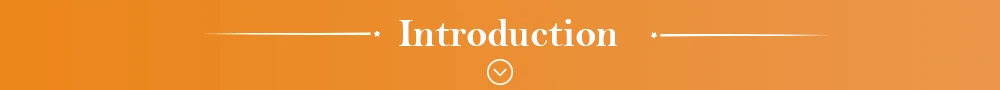 Introduction