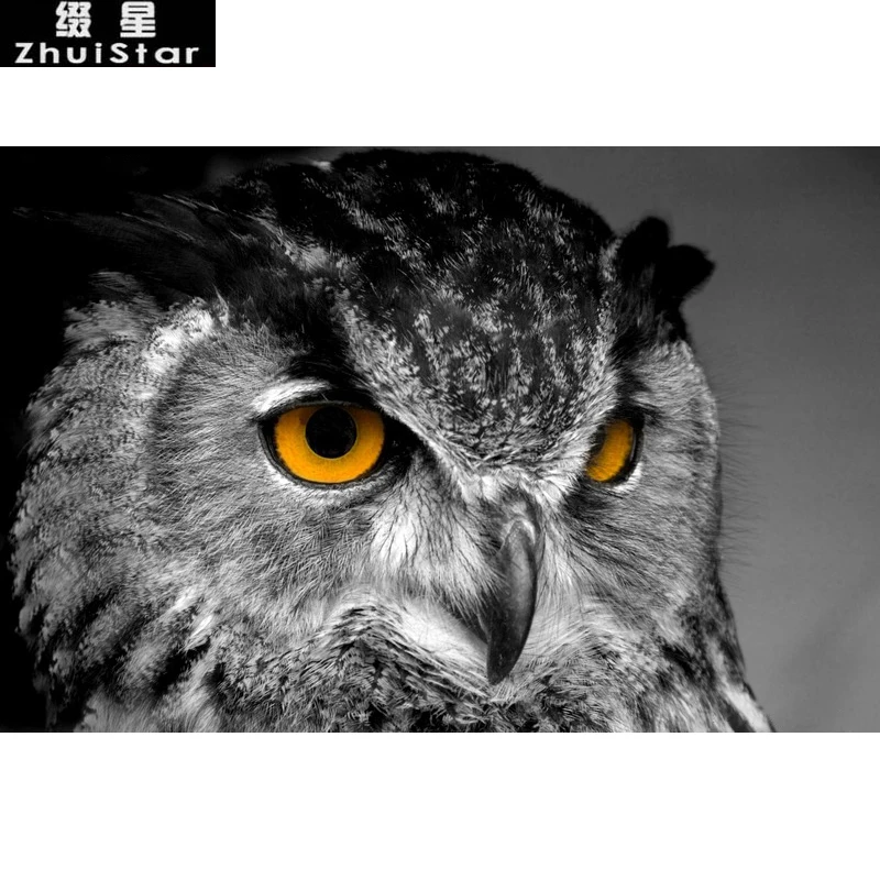 

2016 New 5D DIY Diamond Painting owl Embroidery Full Square Diamond Cross Stitch Rhinestone Mosaic Painting Home Decor Gift