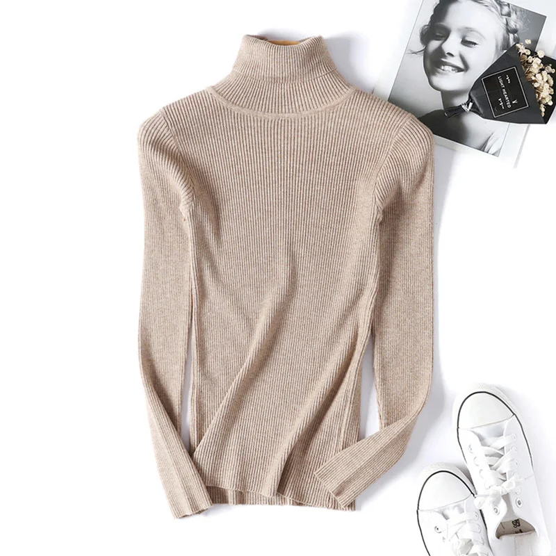 Warm Winter Women Sweater Turtleneck Pullover Knitted Sweaters For Ladies Long Sleeve High Elasticity Soft Pullovers Autumn 2018 (22)