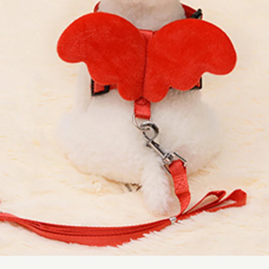 

Free Shipping Traction Rope Cat Nylon Solid All Seasons Quick Release Sets Leashes Small Dog Leash and Collars Pet Collar QY005