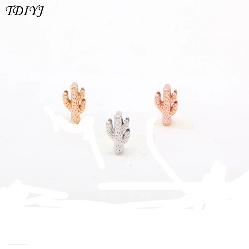 

TDIYJ Newest Arrival Fashion Planet Collection Cactus Keeper Charms for Mesh Keeper Bracelet for Women Jewelry 6pcs