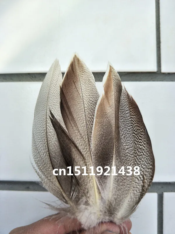 Pheasant Feathers 20pcs