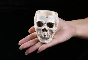 

Skull ashtray personalized home ornaments resin skull model home decoration Halloween skull personality appliances