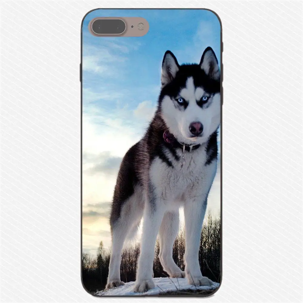 as picture Пикантные Сибирского Хаски рисунком милой собачки для huawei Honor 5A 6A 6C 7A 7C 7X 8A 8C 8X9 10 P8 P9 P10 P20 P30 Мини Lite рlus - Цвет: as picture