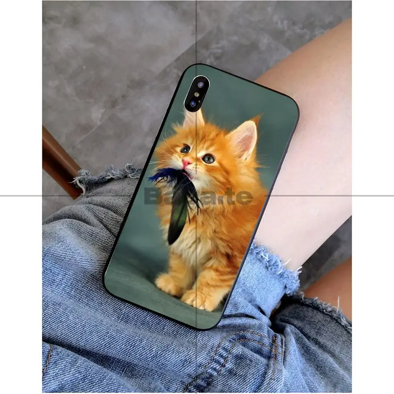 Babaite pet мейн-кун кошка черный мягкий силиконовый чехол для телефона чехол для Apple iPhone 8 7 6 6S Plus X XS MAX 5 5S SE XR Чехол для мобильного телефона s