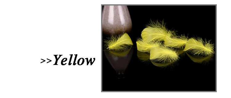 3255516400_1022353483