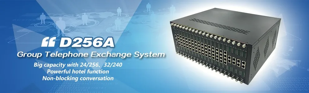 D256A.
