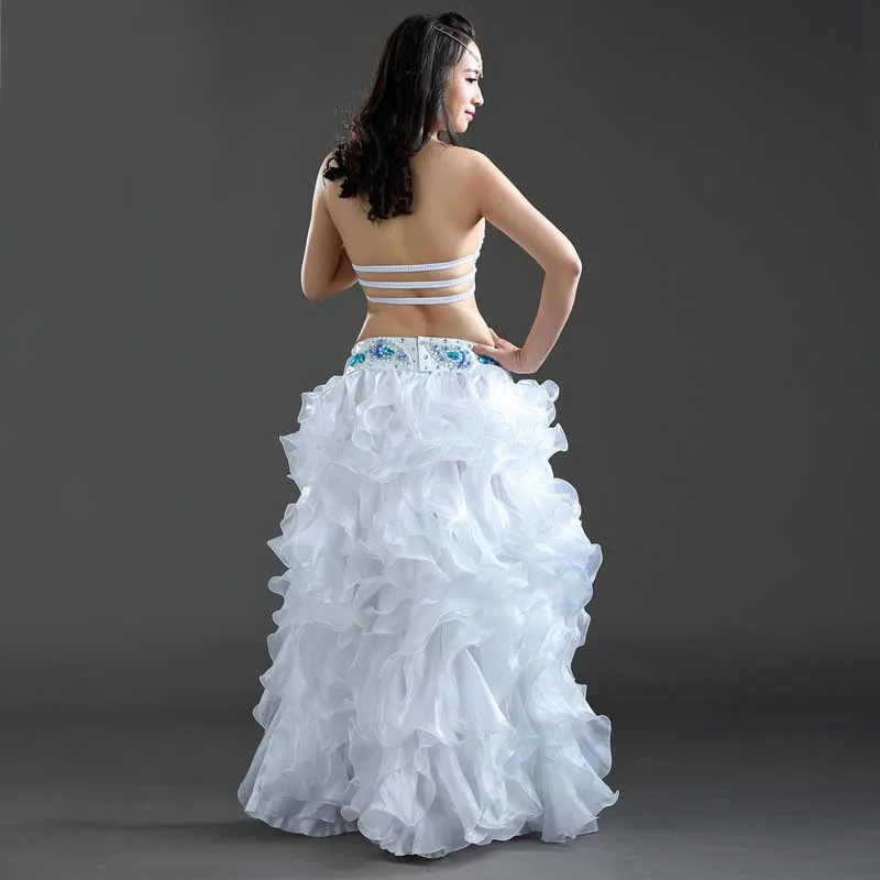 2018 New Women Belly Dance Costumes BlueWhitePurple 3PCS(Bra+Skirts+Belt) Saia Vestido Indiano Fan Dance Party Dress (5)