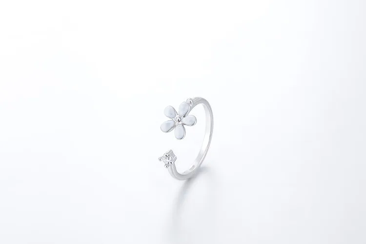 8162550427_1039125567