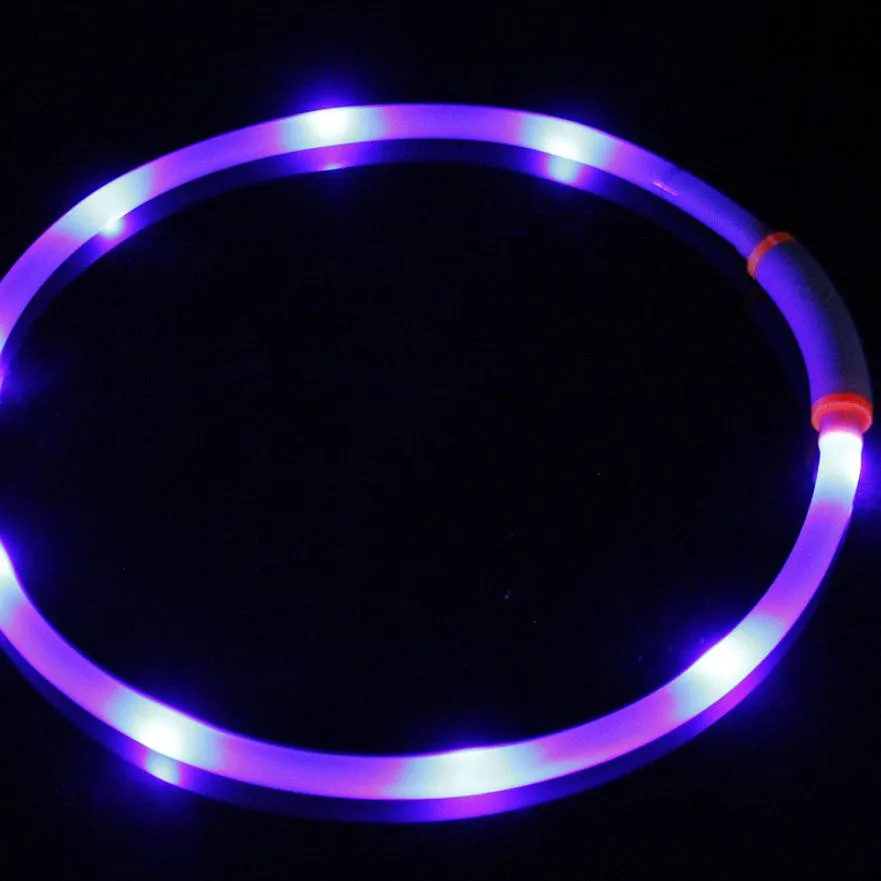 

Waterproof USB Rechargeable Pet Collar LED Flashing Glowing Light Dog Cat Safety leash for dog pet products harness dog