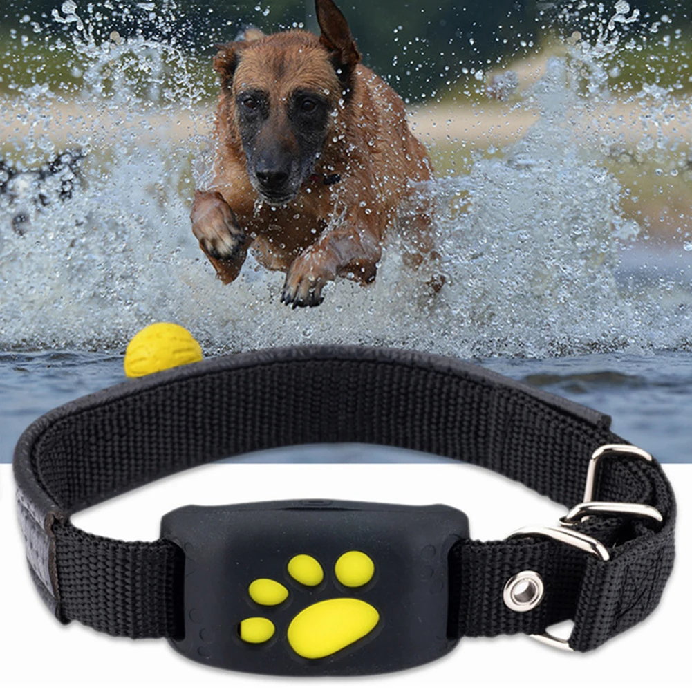 Impermeable mascotas GSM GPS Perro Rastreador localizador Rastreador de Finder para mascotas perro gato Real tiempo libre APP pista de alarma dispositivo