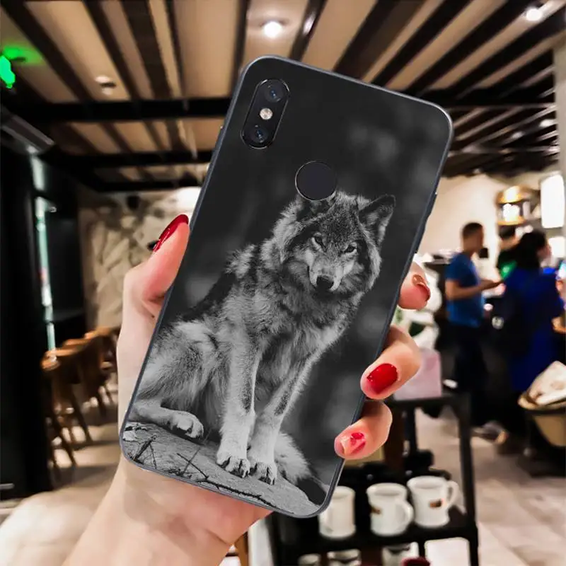 angry Animal wolf Face Pattern