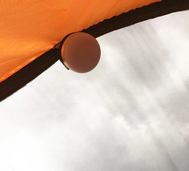 231