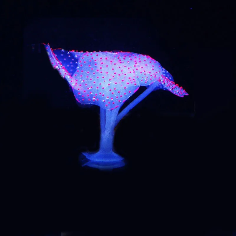 IY0017R