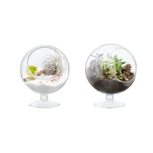 Mkono Clear Glass Vase Air Plant Terrarium Airplants Succulent Plant Planter Garden Indoor Micro Landscape Greenhouse, Footed